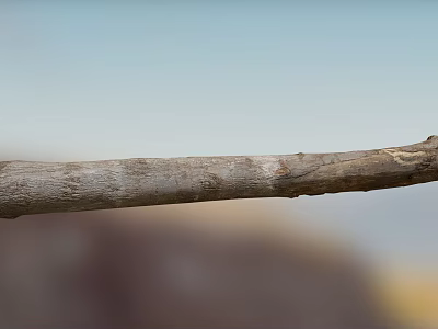 Rustic Wood Log With Weathered Texture And Natural Stone Background 3d model