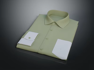 Stylish Light Green Collared Shirt With White Cuffs And Pocket Design 3d model