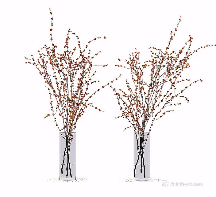 Two Transparent Glass Vases With Slender Branches And Orange Small Blooms On White Background 3d model 