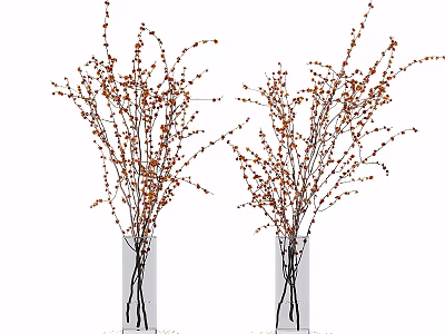 Two Transparent Glass Vases With Slender Branches And Orange Small Blooms On White Background 3d model