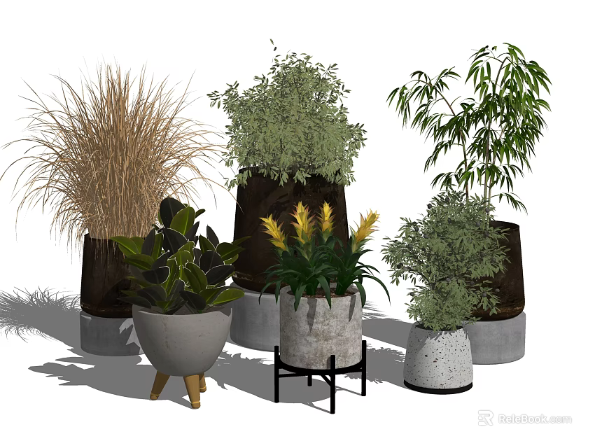 Diverse Potted Bonsai Plants Featuring Various Greenery And Stylish Decorative Pots 3d model 