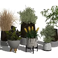 Diverse Potted Bonsai Plants Featuring Various Greenery And Stylish Decorative Pots