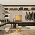 Modern Walk-in Closet Design With Hanging Coats Cabinets And Shelves For Bags
