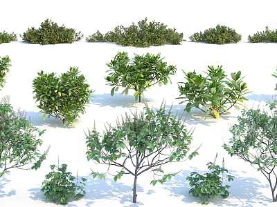 Various Types of Garden Shrubs with Green Foliage and Lush Dense Leaves 3d model