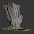 Natural Wood Tree Stump And Stone Base Decorative Art With Textured Design
