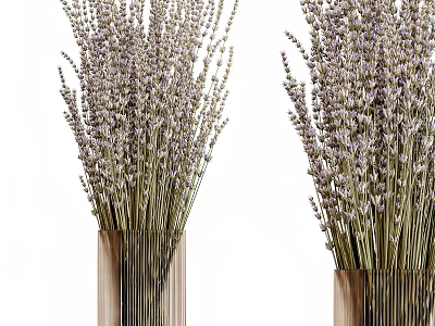 Lavender Bouquets In Wooden Vases With Striped Design On White Background 3d model