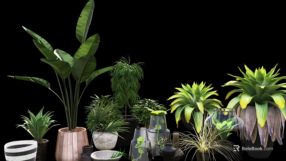 Lush Bonsai Potted Plants With Ceramic Glass Planters For Home Decoration 3d model 