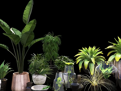 Lush Bonsai Potted Plants With Ceramic Glass Planters For Home Decoration 3d model