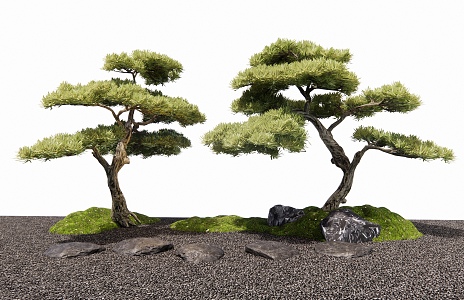 New Chinese Style Luohan Pine Black Pine Landscape Tree Arbor Stone Tingbu Moss 3d model