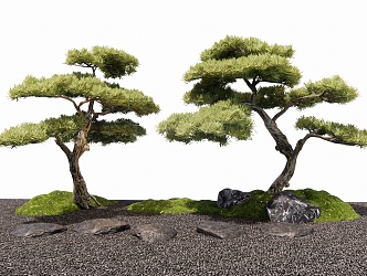 New Chinese Style Luohan Pine Black Pine Landscape Tree Arbor Stone Tingbu Moss 3d model