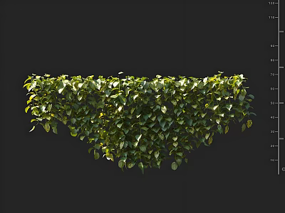 Lush Green Bonsai Plant with Hanging Foliage and Vibrant Leaf Details 3d model