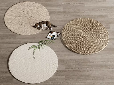Neutral Toned Round Rugs With Cat Magazine And Green Plant 3d model