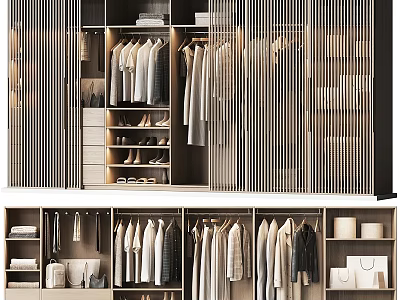 Modern Walk in Closet Design With Hanging Clothes Shelves And Shoe Storage 3d model