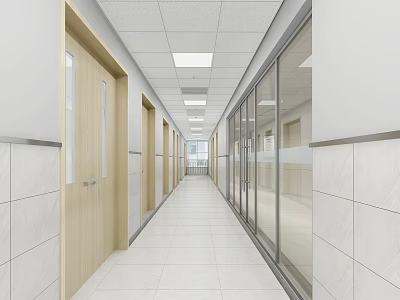 Modern Office Corridor With Glass Partitions Wooden Doors And Tile Walls 3d model
