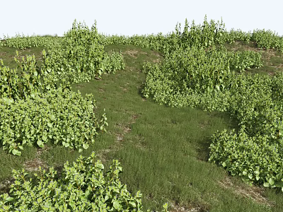 Lush Green Herbs And Plants Covering Natural Hilly Grassland With Vibrant Growth 3d model