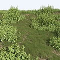 Modern Grassland Shrub Grass Green Plant Shrub Plant Pile Landscape Tree 3d model