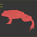 Frog Poison Frog Game Frog Reptile Cold Blooded Animal Reptile 3d model