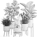 Various Green Potted Houseplants With Large Patterned Leaves In Gray Concrete Pots On Stands