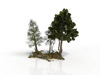 Different Types of Trees with Rocks and Moss at the Base on White Background 3d model