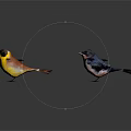 Colorful Birds with Various Colors and Wing Positions on White Background