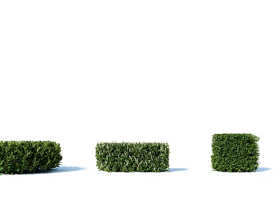 Green Bushes In Round Square And Geometric Shapes For Garden Design 3d model