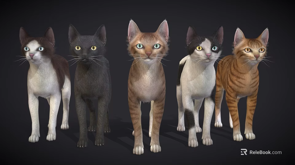 Five Different Colored Reptiles Standing In A Row On Dark Background 3d model 