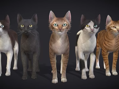 Five Different Colored Reptiles Standing In A Row On Dark Background 3d model
