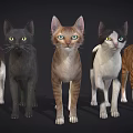 Five Different Colored Reptiles Standing In A Row On Dark Background