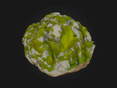 Rustic Stone And Wood With Green Moss And White Textured Surface 3d model
