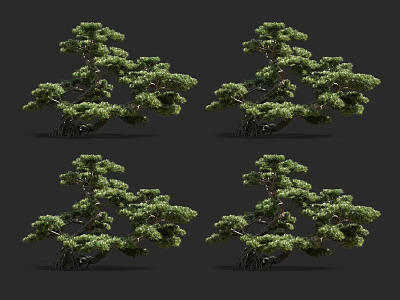 Ornamental Bonsai Trees With Lush Green Foliage And Artistic Branch Shapes 3d model