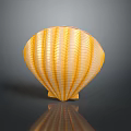Marine Mollusk Animal Yellow Striped Seashell On Dark Surface With Shiny Reflection