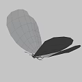 White Winged Black Spotted Butterfly Game Movie Character Design