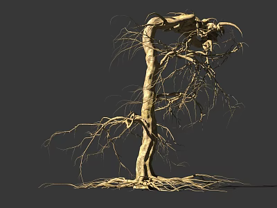 Dry Tree With Twisted Trunk And Exposed Roots On Gray Background 3d model