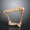 Handmade Bone Household Decorative Item With Carved Details And Strings