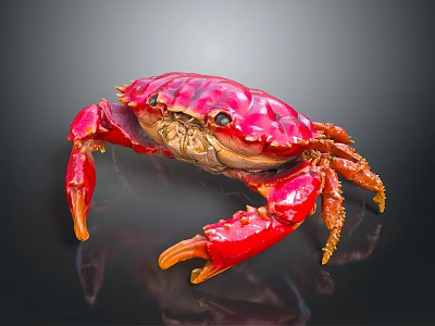 Vibrant Red Crab With Detailed Claws And Shiny Shell Isolated On Black Surface 3d model