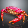 Vibrant Red Crab With Detailed Claws And Shiny Shell Isolated On Black Surface