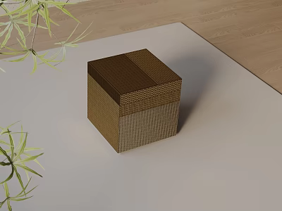 Woven Brown Square Side Table With Green Plants On Light Carpet 3d model