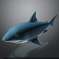 Blue Shark 3D Rendered Model With Sharp Teeth And Fins Against Black Background