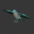 Vibrant Blue Bird With Spread Wings Perched On Reflective Surface
