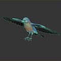 Modern bird tropical bird ornamental bird 3d model