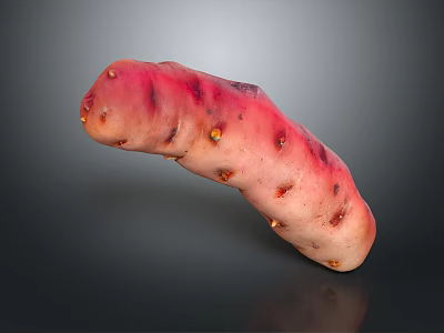 Fresh Prickly Pear Fruit with Pink Purple Skin and Small Yellow Spots 3d model