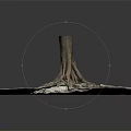 Natural Wood Tree Stump with Exposed Roots Growing Through Cracked Stone Slabs