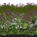 Trees With Lush Greenery Purple Flowers And Diverse Plants On Garden Wall