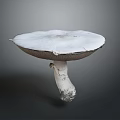Large White Mushroom With Umbrella Shaped Cap And Textured Stem On Gray Background