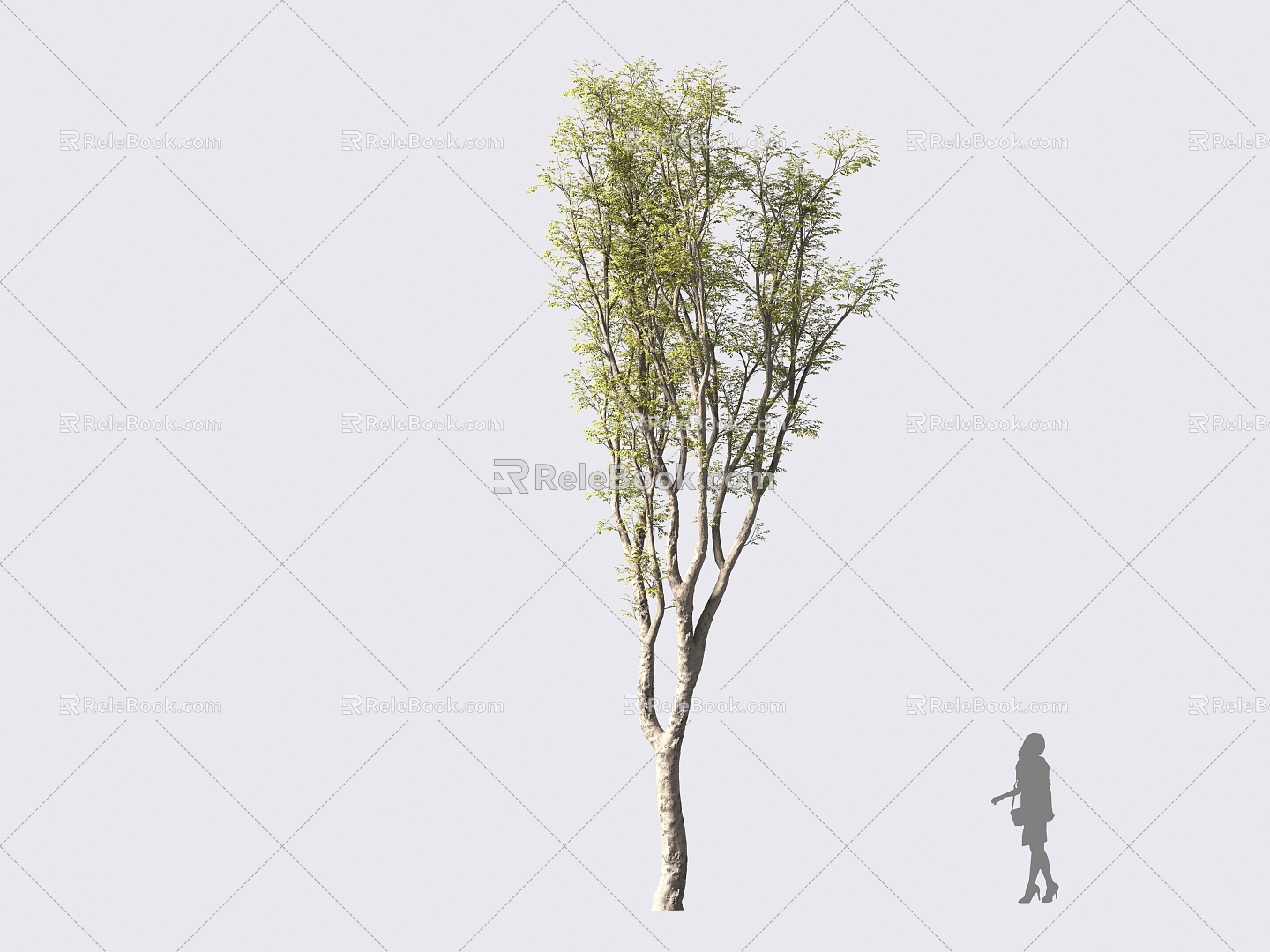 arbor, hackberry trees, landscape trees, street trees, street trees 3d model