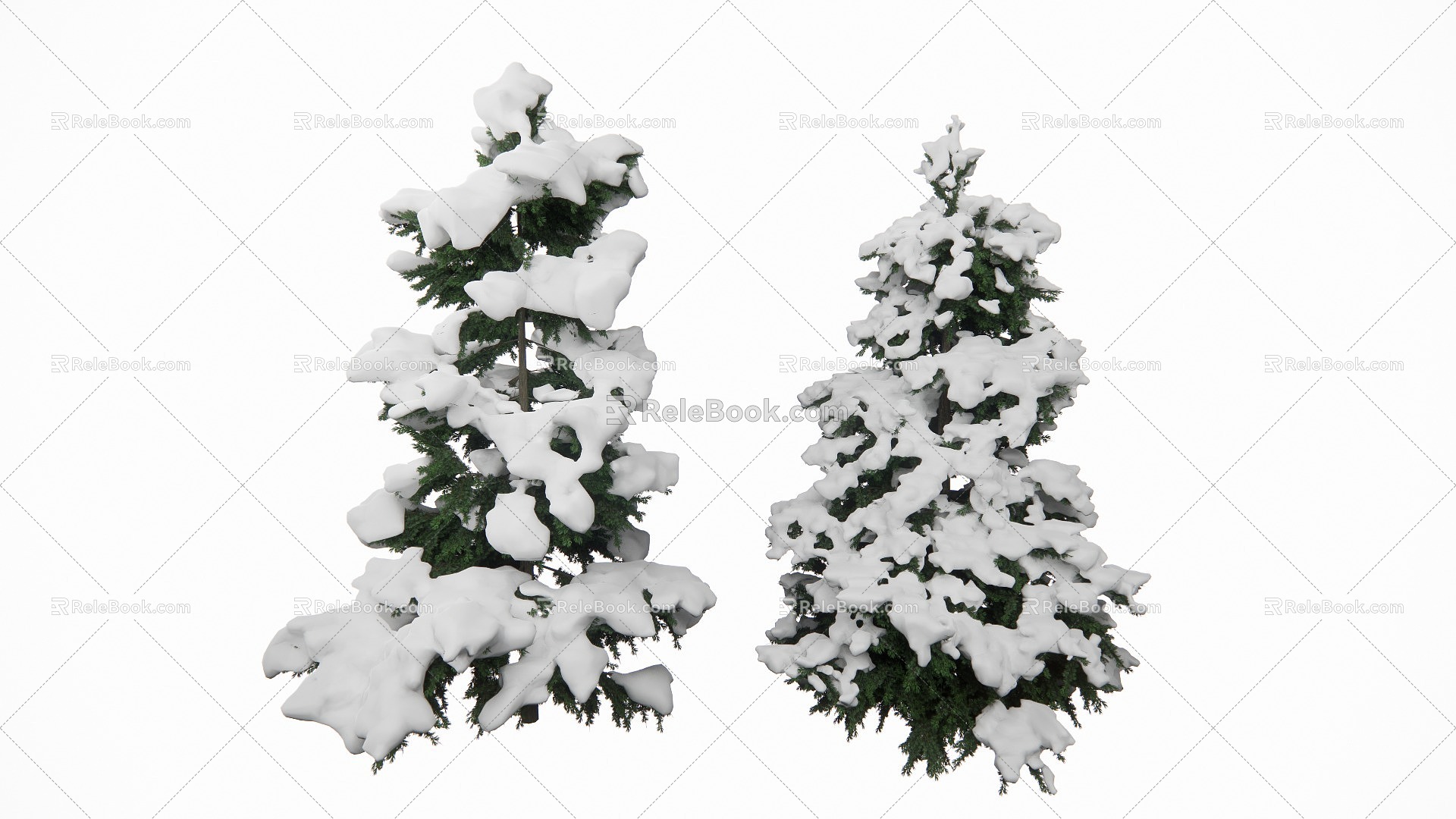 Winter Pine Cedar Conifer 3d model