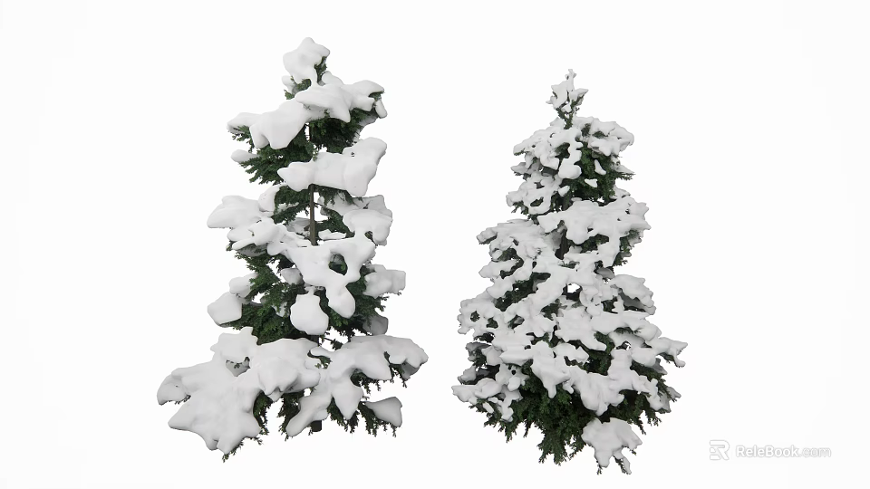 Two Tall Evergreen Trees With Snow Covered Branches And Green Foliage 3d model 