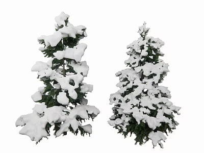 Winter Pine Cedar Conifer 3d model