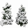Two Tall Evergreen Trees With Snow Covered Branches And Green Foliage