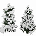 Winter Pine Cedar Conifer 3d model